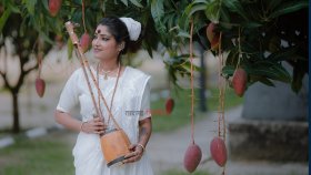 আমার আত্মার বয়স হাজার কোটি বছর: সূচনা শেলী
