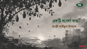 একটি সবেদা গাছ