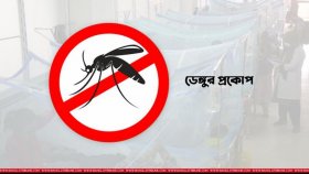 ২৪ ঘণ্টায় ডেঙ্গুতে আক্রান্ত ১৯