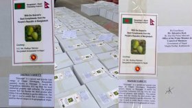 নেপালে বাংলাদেশের আম কূটনীতি