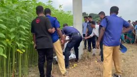 জামায়াত কর্মীকে হত্যার পর লাশ পুড়িয়ে দেওয়ার চেষ্টা