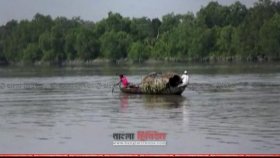 সুন্দরবনে কুমিরের আক্রমণে নারী জেলে নিহত