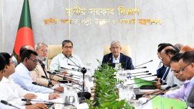 ডেঙ্গু প্রতিরোধে উচ্চপর্যায়ের টাস্কফোর্স গঠন