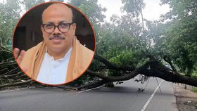সরকারি গাছ কেটে আসলাম চৌধুরীর জন্য বিক্ষোভ, বিএনপির দুই কর্মী গ্রেফতার