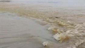 মৌলভীবাজারে বন্যার পানিতে ভেসে উঠলো এক লাশ