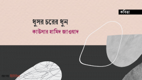 ধূসর চরের ধূন