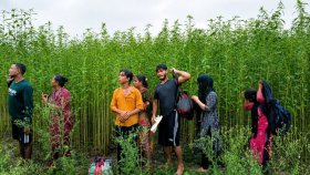 কুষ্টিয়া সীমান্তে ৮ জনকে পুশইনের চেষ্টা, ফেরত পাঠালো বিজিবি