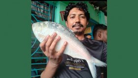 দুই কেজির এক ইলিশ প্রায় ৭ হাজার টাকায় বিক্রি, কত পড়লো মণ