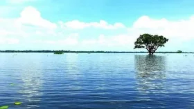 নওগাঁর জল-সবুজের মায়াবী পর্যটন ঠিকানা হাঁসাইগাড়ী বিল