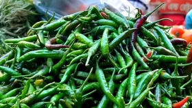 ৪০০শ’র কাঁচা মরিচ নামলো ৮০ টাকায়