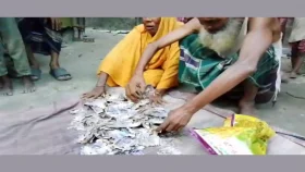 কষ্ট করে জমালেন ২ লাখ টাকা, খেয়ে ফেলেছে উইপোকা, কৃষক দম্পতির কান্না