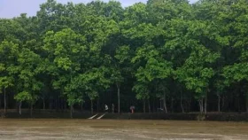 টাঙ্গনের তীরে শালবনের হাতছানি