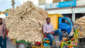 ১৫ দিনের ব্যবধনে মণে ১ হাজার টাকা কমলো পাটের দাম