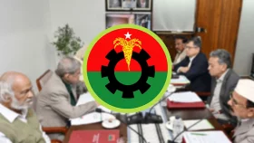 বিএনপির স্থায়ী কমিটির সদস্যদের কাজ কী