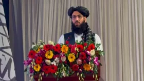 ভারতের সঙ্গে সম্পর্ক জোরালো করার আহ্বান আফগান দূতের