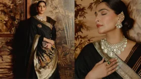 পিচওয়াইয়ের ঐতিহ্যে সোনম, কালো আনারকলিতে রাজকীয় সাজ