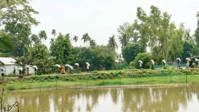 বেশি দাম ও সংকট: ডিলারের গুদাম ভেঙে ১৯৭ বস্তা সার নিয়ে গেলেন কৃষকরা