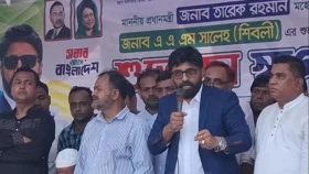 গ্যাস আমদানির নামে ১৭ বছর লুটপাট করা হয়েছে: প্রধানমন্ত্রীর প্রেস সচিব