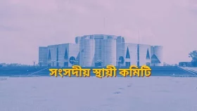 সংসদীয় স্থায়ী কমিটির কাজ কী