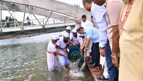 বিএনপির প্রতিষ্ঠাবার্ষিকীতে জিয়া উদ্যানের জলাশয়ে মৎস্য পোনা অবমুক্ত করলেন প্রধানমন্ত্রী