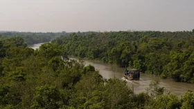 বন্যতার সৌন্দর্যে অনন্য সুন্দরবন