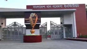 ধান গবেষণা ইনস্টিটিউটে নিয়োগ, ১৩ সেপ্টেম্বরের মধ্যে আবেদন