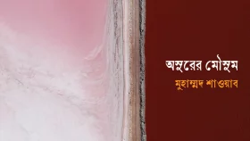 অসুরের মৌসুম