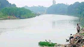 হঠাৎ মরে ভেসে উঠছে বারনই নদীর মাছ