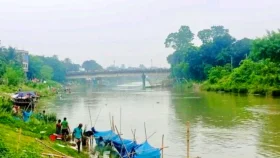 বারনই নদীতে মাছ মরে ভেসে ওঠার কারণ খুঁজতে তদন্ত কমিটি