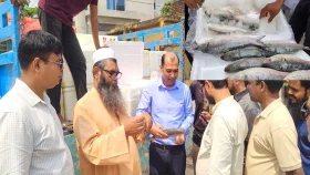 দেশের বাজারে ভারতীয় ও রোহিঙ্গা ইলিশ: ২৫২ টাকায় কিনে পদ্মার বলে ১৮০০ টাকায় বিক্রি