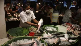 কোথা থেকে ইলিশ এনে বাংলাদেশে রফতানি করছে ভারত