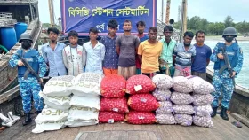 মিয়ানমারে পাচার হচ্ছিল ১২ টন ইউরিয়া সার, সঙ্গে পেঁয়াজ-রসুনও