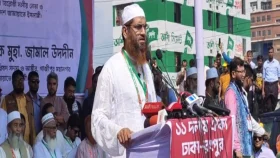 গণভোটের রায় কার্যকর ছাড়া সরকারের বিকল্প পথ নেই: মামুনুল হক
