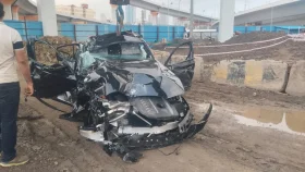 সেতু থেকে বিএমডব্লিউ পড়ে নিহত ৩