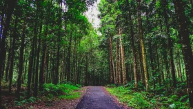 প্রকৃতির নীরব ক্যানভাসে সাতছড়ি