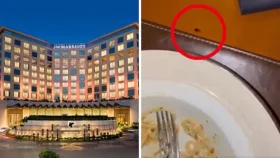 পাঁচ তারকা হোটেলে খাবারের টেবিলে তেলাপোকা