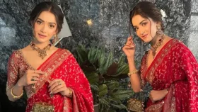 লাল-সোনালি সাজে তানজিন তিশার রাজকীয় উপস্থিতি