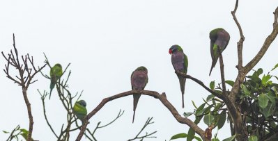 ছবি: সিএমজি