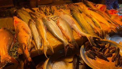 মাছের দাম চড়া