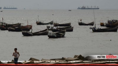 উপকূলীয় এলাকার নদনদীতে প্রত্যাশা অনুযায়ী ইলিশ মিলছে না (ফাইল ছবি)