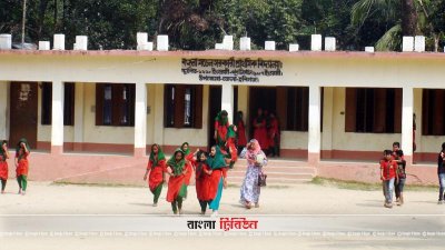 সরকারি প্রাথমিক বিদ্যালয়। ফাইল ছবি