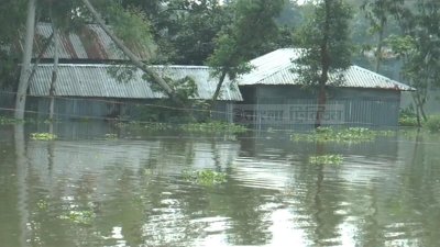 গাইবান্ধায় বন্যা পরিস্থিতি