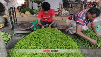 ২০০ টাকা কেজি কাঁচা মরিচ, একসপ্তাহে দাম বেড়েছে আড়াইগুণ