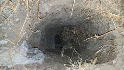 আসাম-বাংলাদেশ সীমান্তে ২০০ মিটার সুড়ঙ্গের সন্ধান