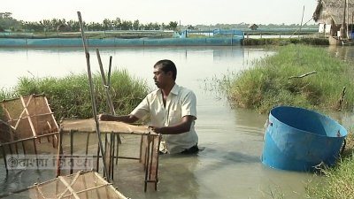 উপকূলীয় কাঁকড়া খামার বন্ধ হওয়ার উপক্রম