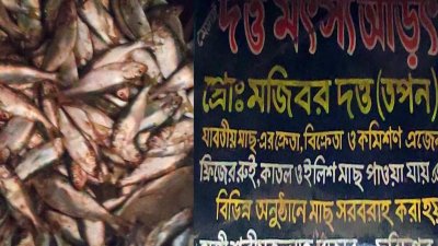 অভিযানে জব্দ হাজার কেজি জাটকা এতিমখানায় বণ্টন