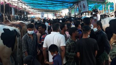গাবতলী পশুর হাটে স্বাস্থ্যবিধির কোনও বালাই নেই।