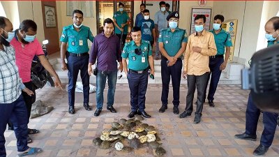 উদ্ধার হওয়া কচ্ছপগুলো বনবিভাগের কাছে হস্তান্তর করা হয়েছে