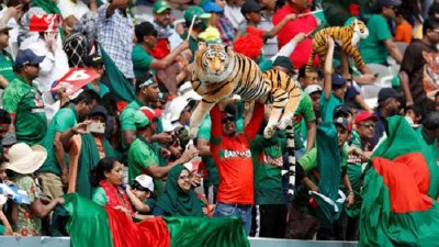 বাংলাদেশ ক্রিকেটের সমর্থক (ছবি: সংগৃহীত)