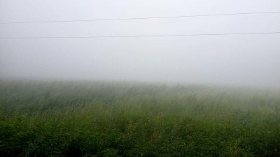 দিনাজপুরের বীরগঞ্জ উপজেলায় শনিবার সকালে তোলা ছবি